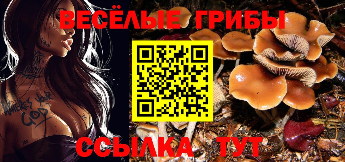Шадринск  Галлюциногенные грибы ЛСД  Галлюциногенные грибы MAGIC MUSHROOMS  Вход с VPN 