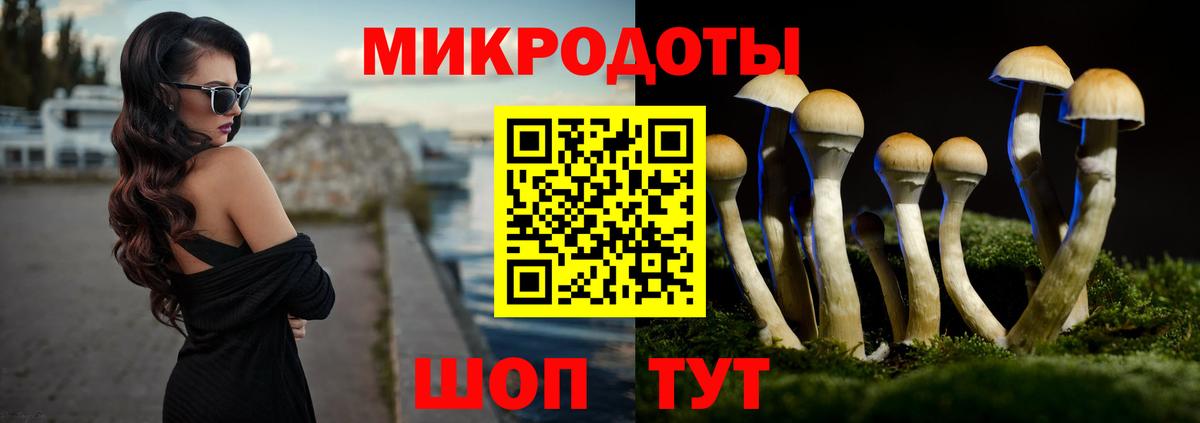 Псилоцибиновые грибы GOLDEN TEACHER Шадринск